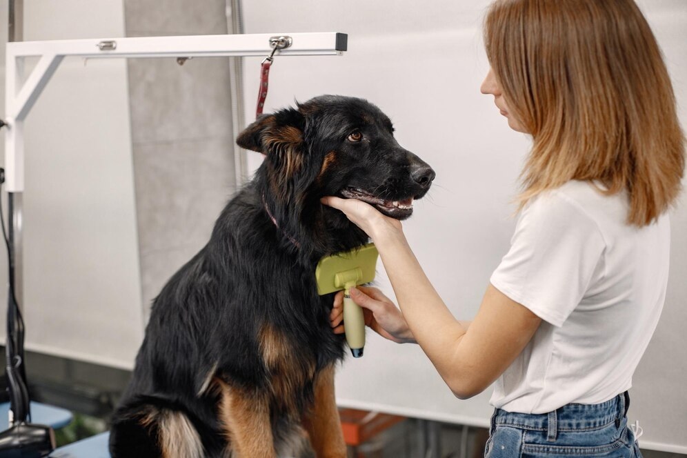 Pet Spa 2