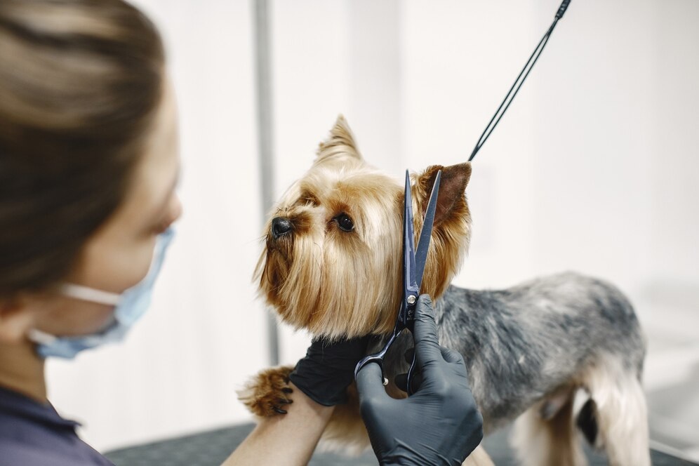 Pet Spa 4